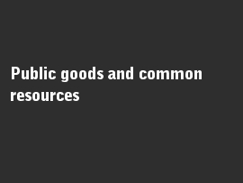 Online quiz Public goods and common resources