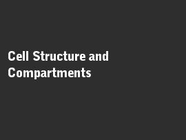 Online quiz Cell Structure and Compartments