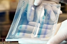 Online quiz Gel Electrophoresis